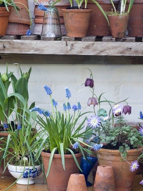 Vintage style garden containers Vintage style garden containers