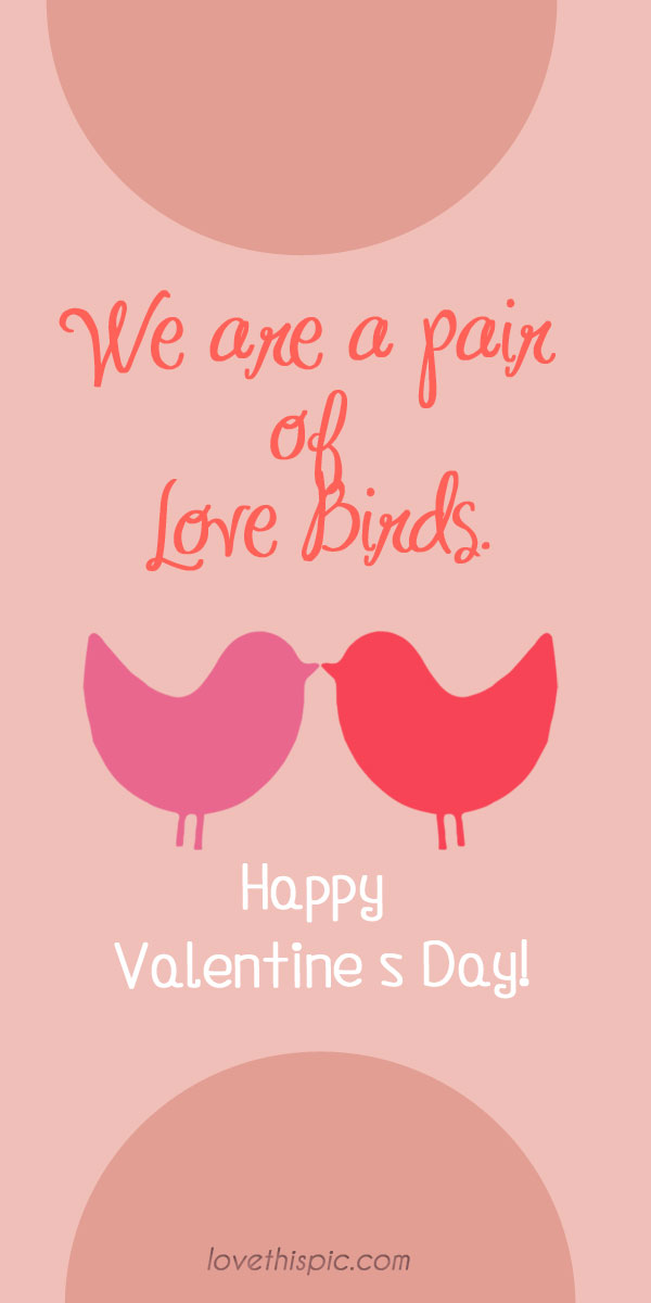 Love birds Love birds