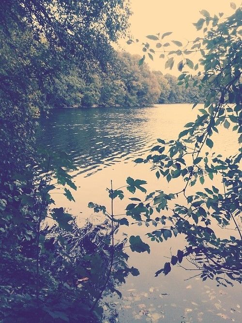 A peaceful getaway A peaceful getaway
