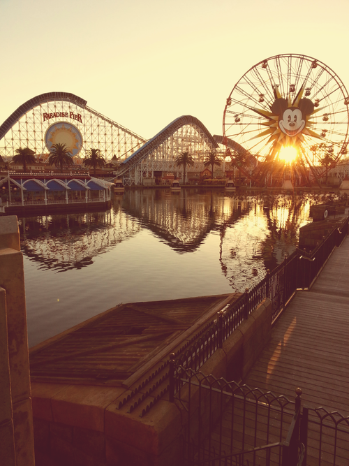 Roller coaster by the water
