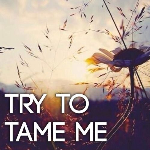 Try to tame me