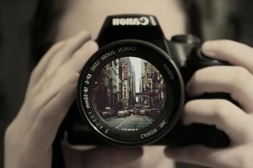 In focus In focus