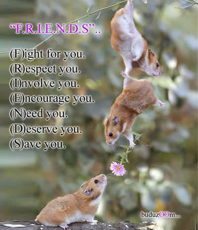 friends