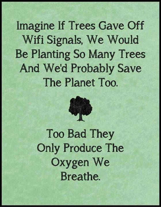 Imagine if Imagine if