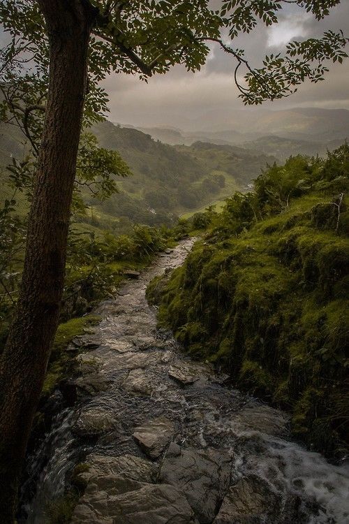 Peaceful stream Peaceful stream