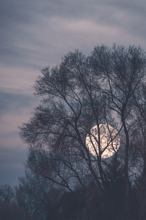 Hidden moon