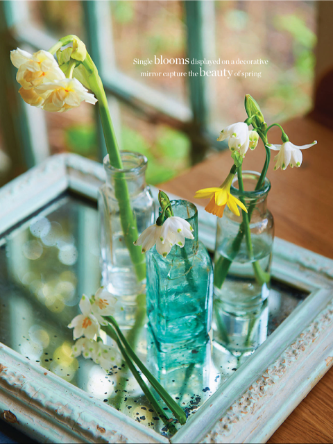 Single Blooms Displayed on a Mirror