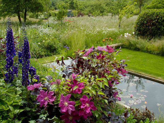 Built in pond garden Built in pond garden