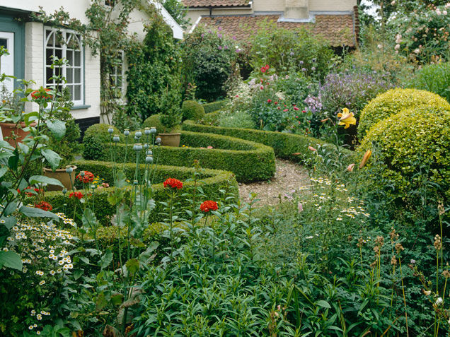Manicured hedges Manicured hedges