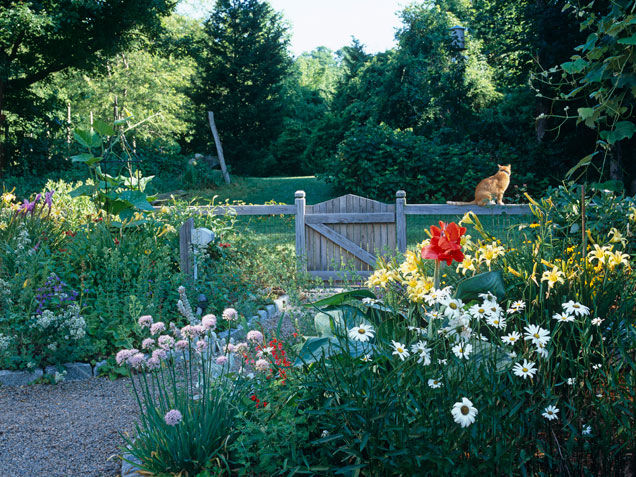 Pretty garden pathway