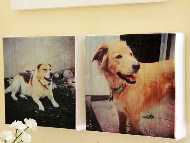 Instagram canvases