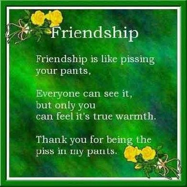 friendship is like