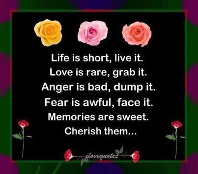 life is short life is short