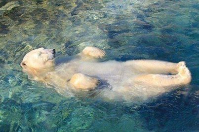 Now This Is What U Really Call "Chilling!!!" Now This Is What U Really Call "Chilling!!!"