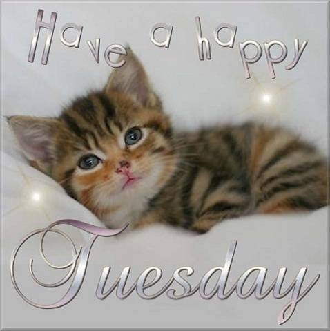 Have a happy Tuesday Have a happy Tuesday