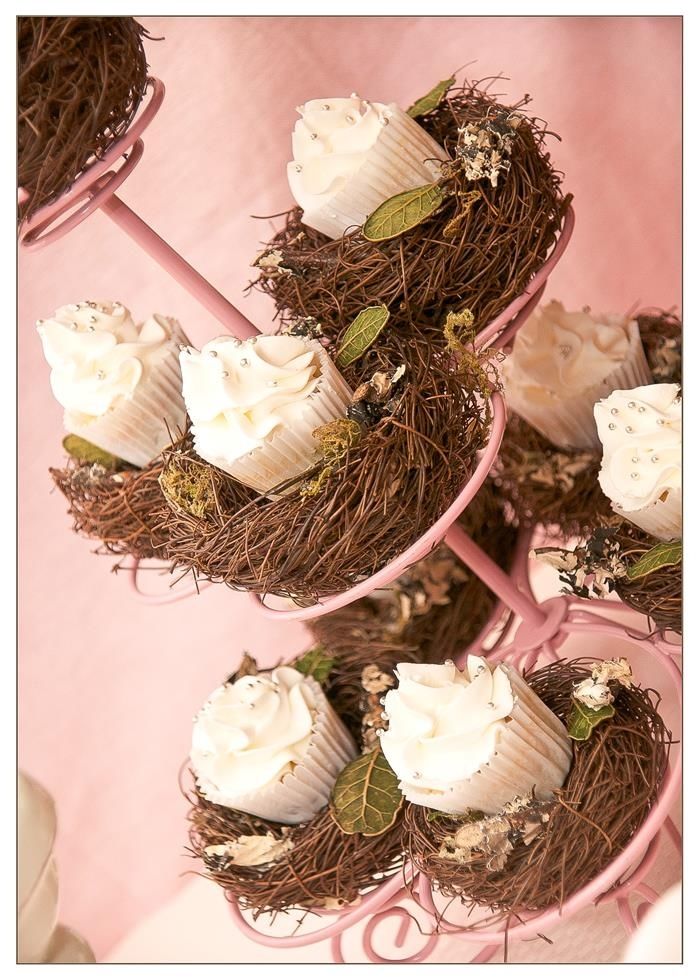 Nest inspired cupcakes Nest inspired cupcakes