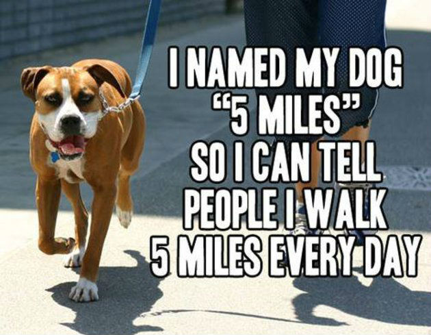 5 miles 5 miles