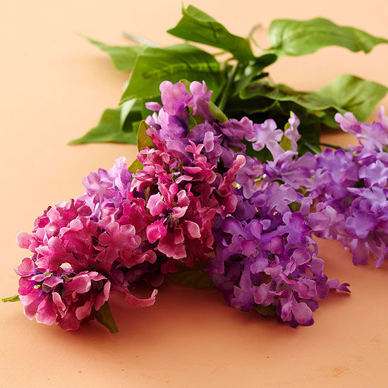 Purple Lilac Purple Lilac