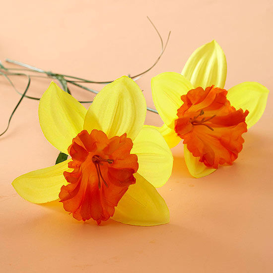 Daffodils
