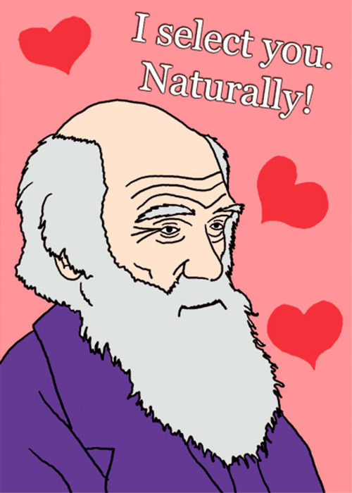 I select you naturally I select you naturally