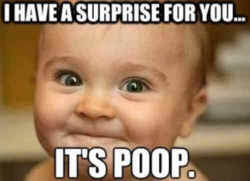 A Surprise For You