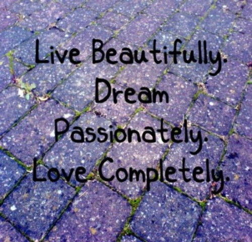live dream love