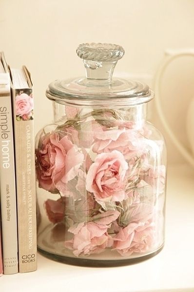 Jar of roses Jar of roses