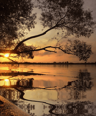 Reflecting waters