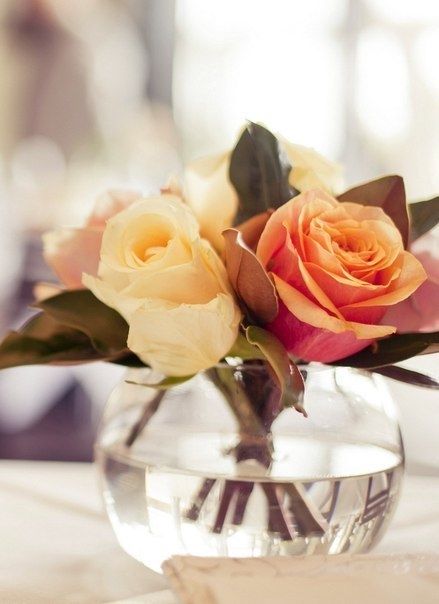 Fishbowl flowers Fishbowl flowers
