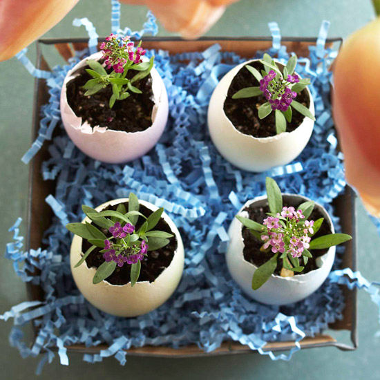 Egg planter Egg planter