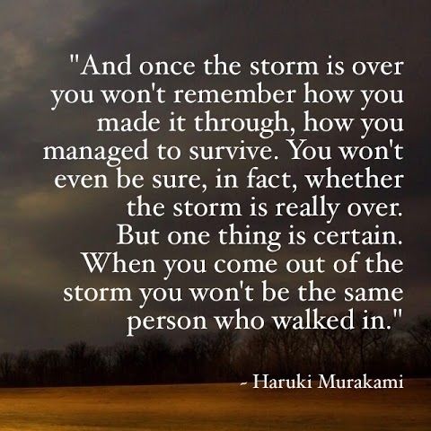 The Storm The Storm