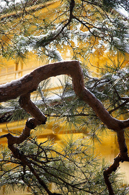 Melting snow Melting snow