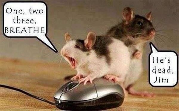 Revive the mouse