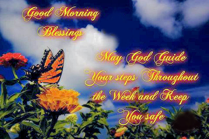 Good Morning Good Morning