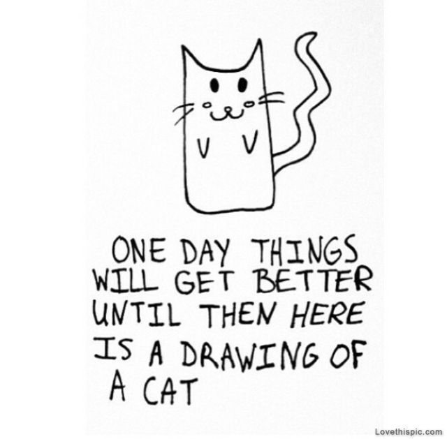 Drawing Of A Cat Drawing Of A Cat
