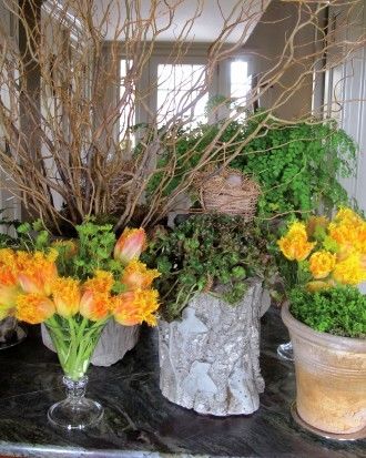 Spring vignettes