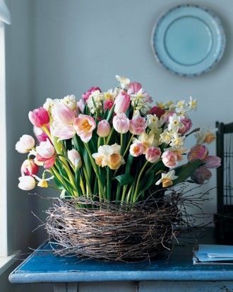 Tulips and daffodils in a nest Tulips and daffodils in a nest