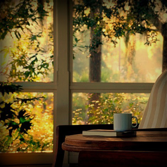 Sunny morning