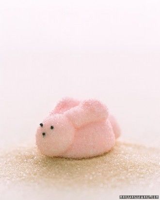 Marshmallow bunnies Marshmallow bunnies