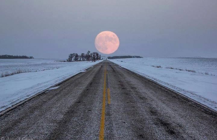 Moonstruck!!