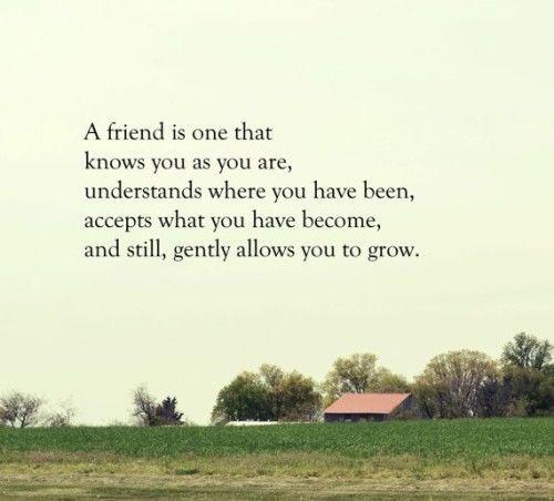 A friend is one