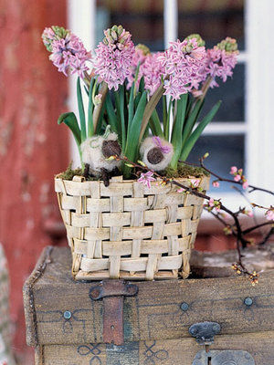 Hyacinths meadow