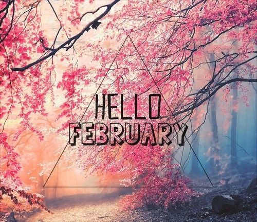 Hello February Hello February