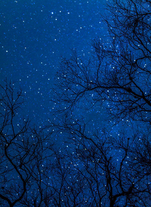 Starry night bokeh