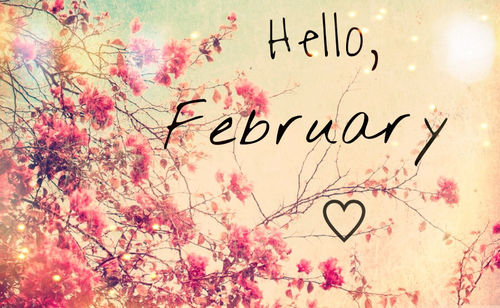 Hello February