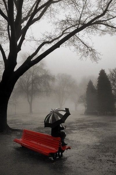 Black and white umbrella