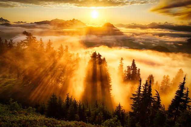 Sunset Evergreen Mountain Washington State