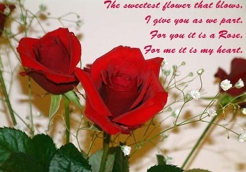 The sweetest flowers...Valentines Day The sweetest flowers...Valentines Day