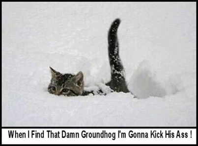 when I find that groundhog