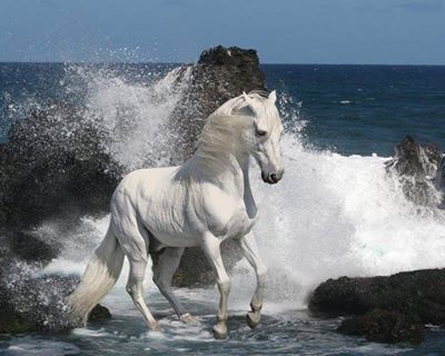 Wet & Wild!!